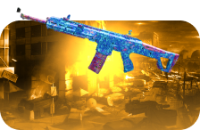 Call of Duty Modern Warfare 3 Priceless Camo